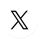 X Icon